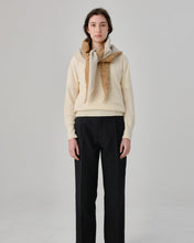 画像をギャラリービューアに読み込む, N-1508 / Euryops Stole