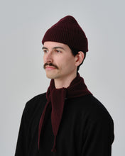 画像をギャラリービューアに読み込む, N-1546 / Cashmere triangular Stole