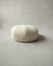 画像をギャラリービューアに読み込む, N-1507 / Euryops Cas