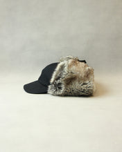 画像をギャラリービューアに読み込む, N-1752 / Ursinia Cap