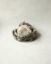 画像をギャラリービューアに読み込む, N-1747 / Camphor Cap
