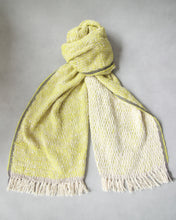 画像をギャラリービューアに読み込む, 【Suno&Morrison】Medium Stole