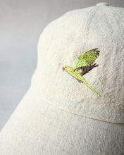 画像をギャラリービューアに読み込む, N-1600 / Freesia Cap