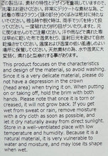 將圖片載入圖庫檢視器 N-1650 / Stokesia Hat