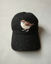 画像をギャラリービューアに読み込む, N-1543 / Sparrow Cap
