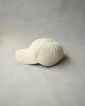 画像をギャラリービューアに読み込む, N-1506 / Euryops Cap
