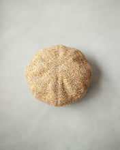 画像をギャラリービューアに読み込む, N-1507 / Euryops Cas
