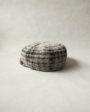 画像をギャラリービューアに読み込む, N-1507 / Euryops Cas
