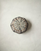 画像をギャラリービューアに読み込む, N-1507 / Euryops Cas
