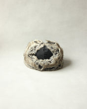画像をギャラリービューアに読み込む, N-1747 / Camphor Cap
