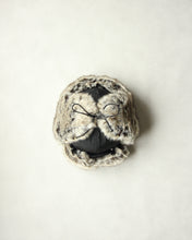 画像をギャラリービューアに読み込む, N-1747 / Camphor Cap
