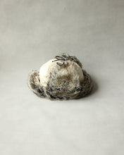 画像をギャラリービューアに読み込む, N-1747 / Camphor Cap
