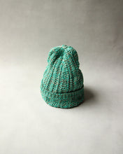 將圖片載入圖庫檢視器 N-1617 / Monocot Watch
