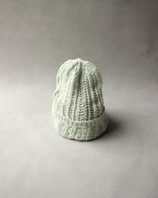 將圖片載入圖庫檢視器 N-1617 / Monocot Watch
