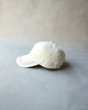 画像をギャラリービューアに読み込む, N-1610 / Dandelion Cap
