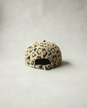 Load image into Gallery viewer, N-1700 / Newton Cap
