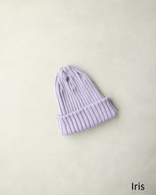 画像をギャラリービューアに読み込む, N-1300 / Arc Watch
